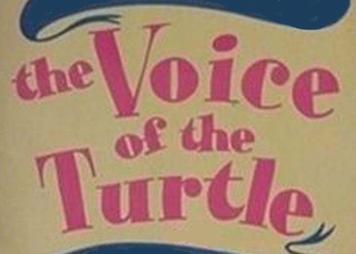voice-of-the-turtle
