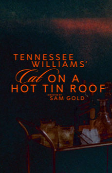 Cat on a Hot Tin Roof